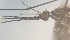  ( - MVAMX19CL37)  @12 [ ] CreativeCommons  Attribution Non-Commercial Share-Alike (2019) Unspecified Laboratorio de Ecología de Enfermedades y Una Salud