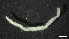  ( - M17-M4E-P20)  @11 [ ] C (2020) Unspecified Biologica Environmental Services