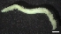  ( - M17-M4SE-P21)  @11 [ ] C (2020) Unspecified Biologica Environmental Services