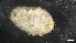  ( - M17-M4E-E22)  @11 [ ] C (2020) Unspecified Biologica Environmental Services