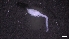  ( - M17-M4E-A23)  @11 [ ] C (2020) Unspecified Biologica Environmental Services