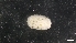  ( - M17-M4E-E26)  @11 [ ] C (2020) Unspecified Biologica Environmental Services