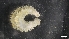  ( - M17-PB1-E28)  @11 [ ] C (2020) Unspecified Biologica Environmental Services