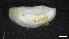  ( - LG18-18-M31)  @11 [ ] C (2020) Unspecified Biologica Environmental Services