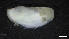  ( - LG18-18-M31)  @11 [ ] C (2020) Unspecified Biologica Environmental Services