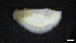  ( - M17-PB1-M33)  @11 [ ] C (2020) Unspecified Biologica Environmental Services