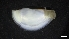  ( - M17-PB1-M33)  @11 [ ] C (2020) Unspecified Biologica Environmental Services
