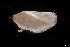  ( - LG19-3-M34)  @11 [ ] C (2020) Unspecified Biologica Environmental Services