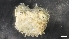  ( - M19-M4E-E40)  @11 [ ] C (2020) Unspecified Biologica Environmental Services