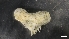  ( - M19-M4E-E41)  @11 [ ] C (2020) Unspecified Biologica Environmental Services