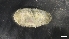  ( - M19-M4E-E42)  @11 [ ] C (2020) Unspecified Biologica Environmental Services