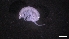  ( - M17-M1SE-A44)  @11 [ ] C (2020) Unspecified Biologica Environmental Services