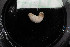  ( - M19-MC4E-E45)  @11 [ ] C (2020) Unspecified Biologica Environmental Services