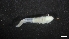  ( - IO19-5-P47)  @11 [ ] C (2020) Unspecified Biologica Environmental Services