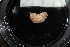 ( - M19-MC4E-E47)  @11 [ ] C (2020) Unspecified Biologica Environmental Services