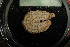  ( - IO18-15-E55)  @11 [ ] C (2020) Unspecified Biologica Environmental Services