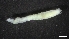  ( - M17-PB1-P56)  @11 [ ] C (2020) Unspecified Biologica Environmental Services