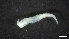  ( - M17-M4E-P57)  @11 [ ] C (2020) Unspecified Biologica Environmental Services