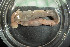  ( - IO20-14-E64)  @11 [ ] C (2020) Unspecified Biologica Environmental Services