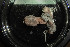  ( - IO20-14-E66)  @11 [ ] C (2020) Unspecified Biologica Environmental Services