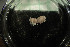  ( - IO20-14-E70)  @11 [ ] C (2020) Unspecified Biologica Environmental Services