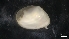  ( - IO19-5-M08)  @11 [ ] C (2020) Unspecified Biologica Environmental Services