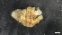  ( - M20-MC8SE-E80)  @11 [ ] C (2020) Unspecified Biologica Environmental Services