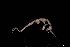  ( - M17-M4E-A81)  @11 [ ] C (2020) Unspecified Biologica Environmental Services