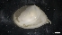  ( - IO19-5-M09)  @11 [ ] C (2020) Unspecified Biologica Environmental Services