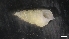  ( - LG18-18-M90)  @11 [ ] C (2020) Unspecified Biologica Environmental Services