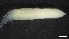  ( - M17-M4E-P92)  @11 [ ] C (2020) Unspecified Biologica Environmental Services