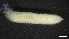  ( - M17-M4E-P92)  @11 [ ] C (2020) Unspecified Biologica Environmental Services
