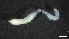  ( - M17-M4E-P93)  @11 [ ] C (2020) Unspecified Biologica Environmental Services