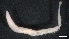 ( - M17-M4E-P94)  @11 [ ] C (2020) Unspecified Biologica Environmental Services