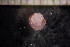  ( - IO17-1-03)  @11 [ ] Copyright (2017) Unspecified Metro Vancouver