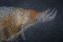  ( - IO17-15-01)  @11 [ ] Copyright (2017) Unspecified Metro Vancouver