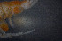  ( - IO17-15-03)  @11 [ ] Copyright (2017) Unspecified Metro Vancouver