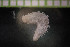  ( - IO17-15-10)  @11 [ ] Copyright (2017) Unspecified Metro Vancouver