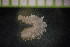  ( - IO17-15-11)  @11 [ ] Copyright (2017) Unspecified Metro Vancouver
