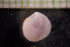 ( - IO17-15-12)  @11 [ ] Copyright (2017) Unspecified Metro Vancouver