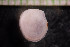  ( - IO17-15-13)  @11 [ ] Copyright (2017) Unspecified Metro Vancouver