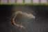  ( - IO17-8-32)  @11 [ ] Copyright (2017) Unspecified Metro Vancouver
