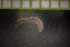  ( - IO17-8-33)  @11 [ ] Copyright (2017) Unspecified Metro Vancouver