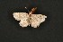  ( - ChamLep-0003)  @11 [ ] Unspecified (default): All Rights Reserved  Unspecified Unspecified