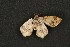  ( - ChamLep-0007)  @12 [ ] Unspecified (default): All Rights Reserved  Unspecified Unspecified