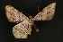  ( - ChamLep-0008)  @12 [ ] Unspecified (default): All Rights Reserved  Unspecified Unspecified