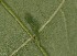  ( - ChamLep-0008)  @12 [ ] Unspecified (default): All Rights Reserved  Unspecified Unspecified