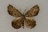  ( - ChamLep-0015)  @13 [ ] Unspecified (default): All Rights Reserved  Unspecified Unspecified