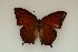  ( - ChamLep-0073)  @13 [ ] Unspecified (default): All Rights Reserved  Unspecified Unspecified
