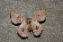  ( - ChamLep-0095)  @14 [ ] Unspecified (default): All Rights Reserved  Unspecified Unspecified